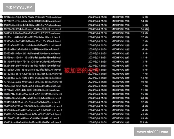 《2024年勒索病毒现状 传媒》 《2024年勒索病毒现状 传媒》