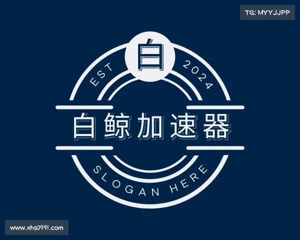 解读白鲸加速器